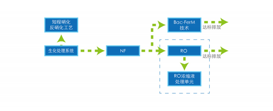 Advanced Nitrogen Removal Technology 