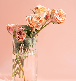 繼續(xù)前進 永不止步--致晶宇的她們(圖5)